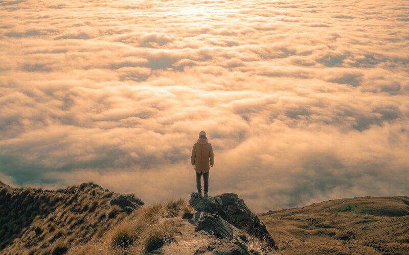 Opening with power and commanding attention